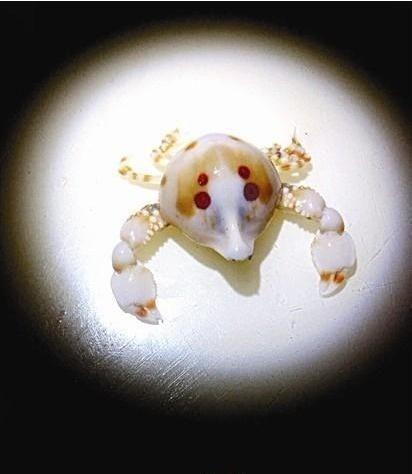 玉蟹视频,探寻中华美食的瑰宝与传承